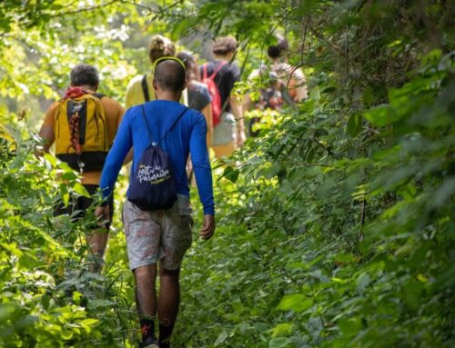 Fragen und Antworten zur Spendenwanderung